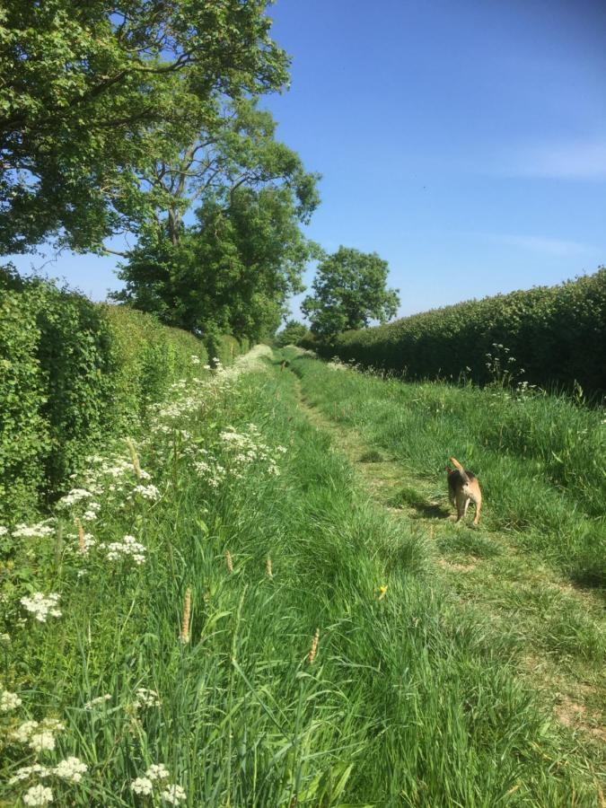 فيلا The Long Barn Baltonsborough المظهر الخارجي الصورة