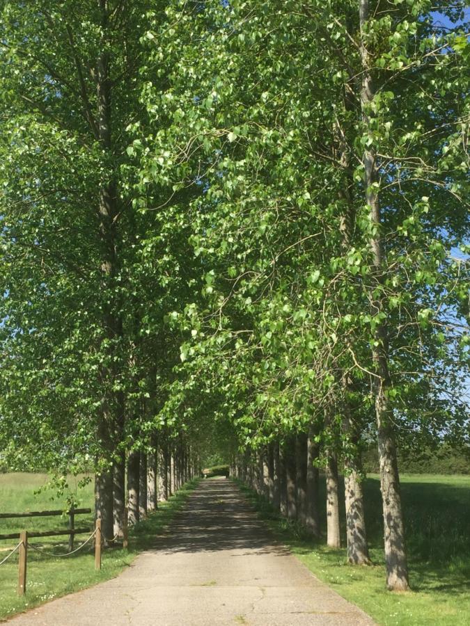 فيلا The Long Barn Baltonsborough المظهر الخارجي الصورة